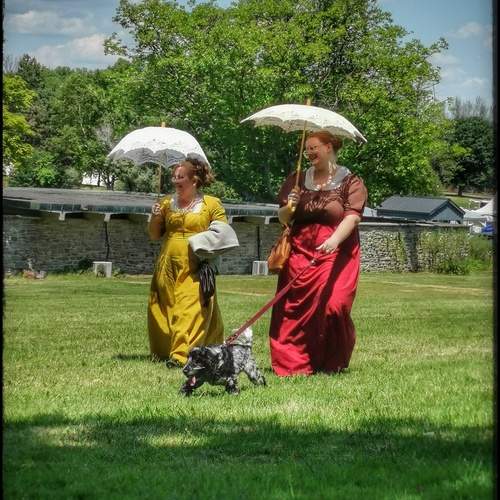 Photo #13446314