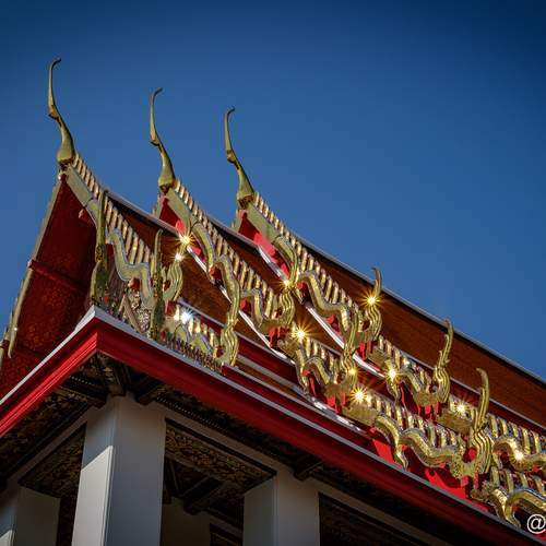 Фотография #13446424