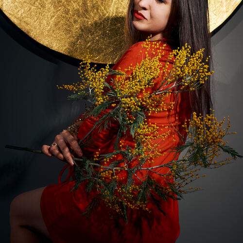 Фотография #13446836