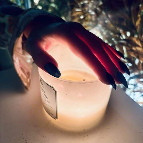 Photo #13446911