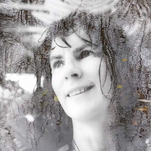 Photo #13447033