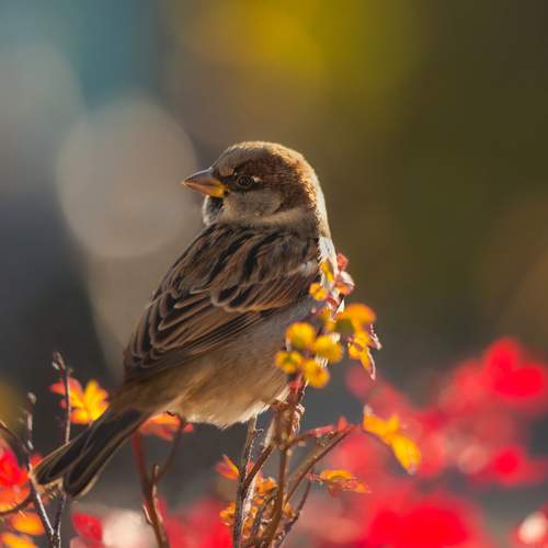 Photo #13447328