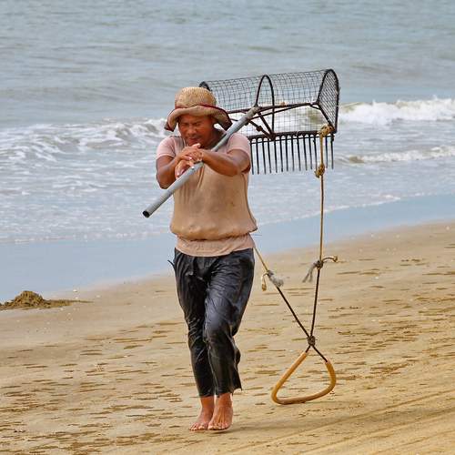 Photo #13447426