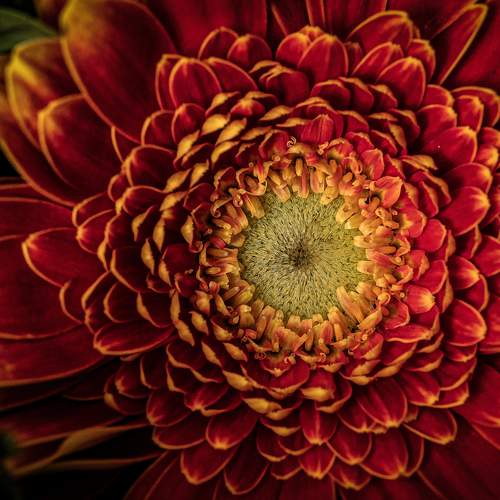 Фотография #13447474