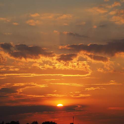 Photo #13447649