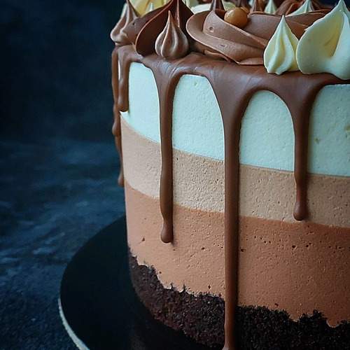 Photo #13447904