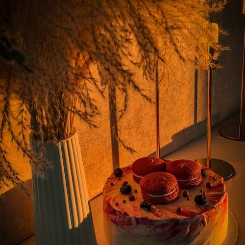 Photo #13447949
