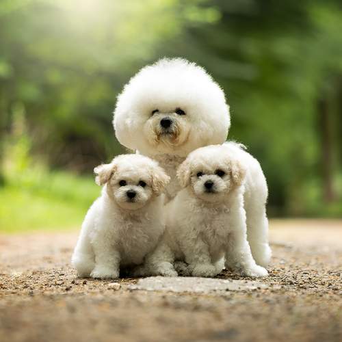 Photo #13447964