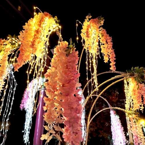 Photo #13448016