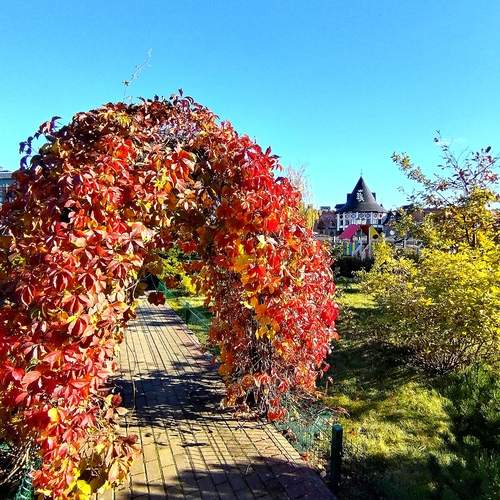 Photo #13448019