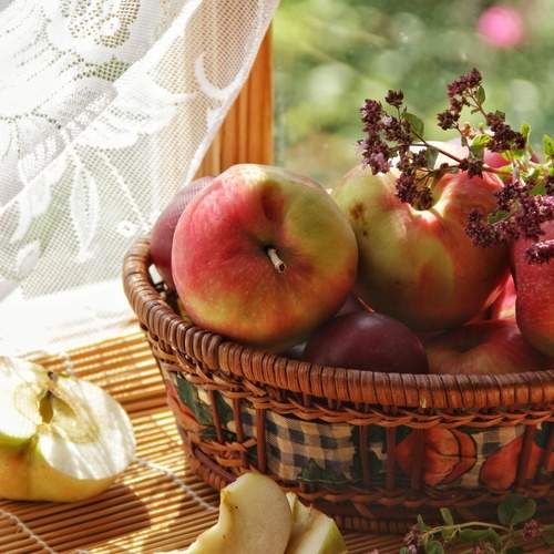Photo #13448101