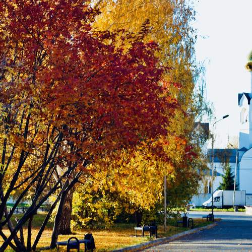 Photo #13448164