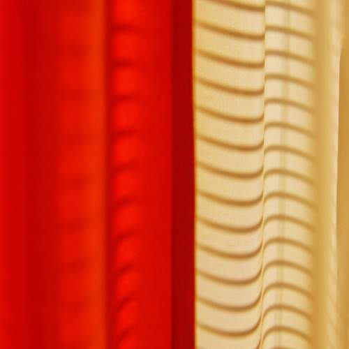 Photo #13448194