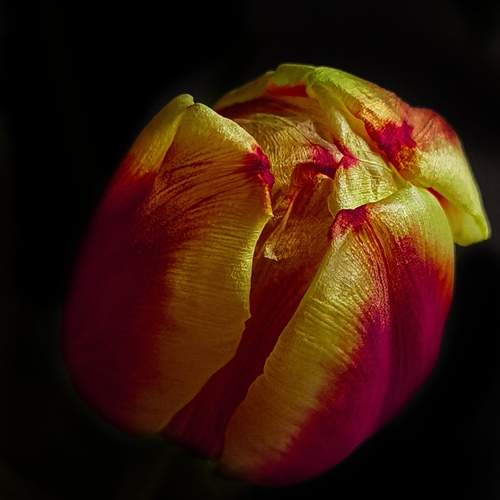 Photo #13448220
