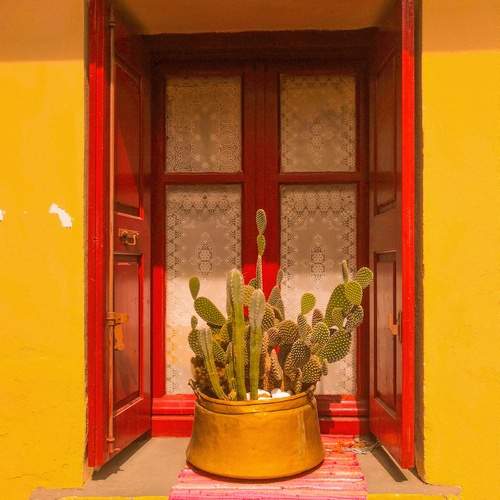 Photo #13448250