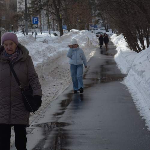 Photo #13448325