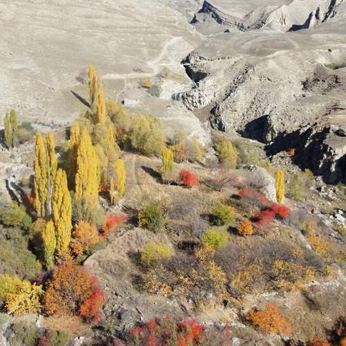 Photo #13448372