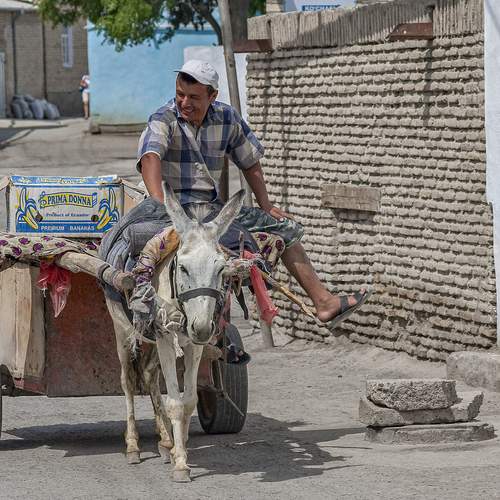 Photo #13448571