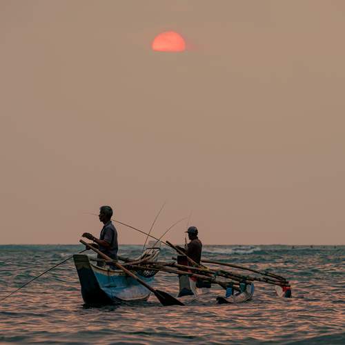 Photo #13448591
