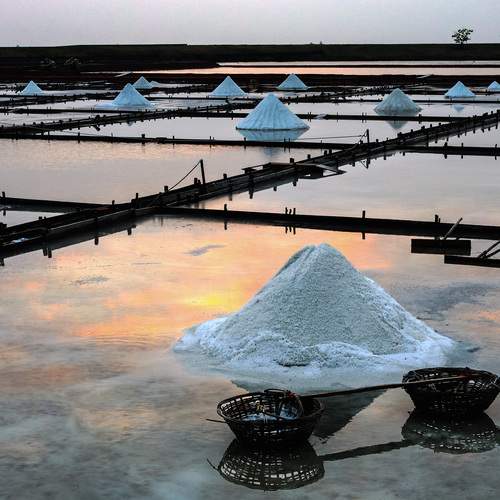 Harvesting the Twilight 