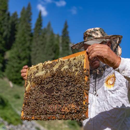 Photo #13448835