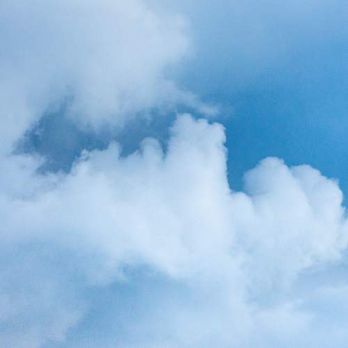 Photo #13448934