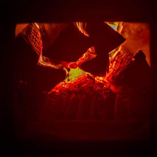 Photo #13448951