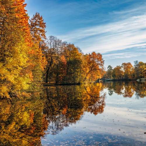 Фотография #13448971