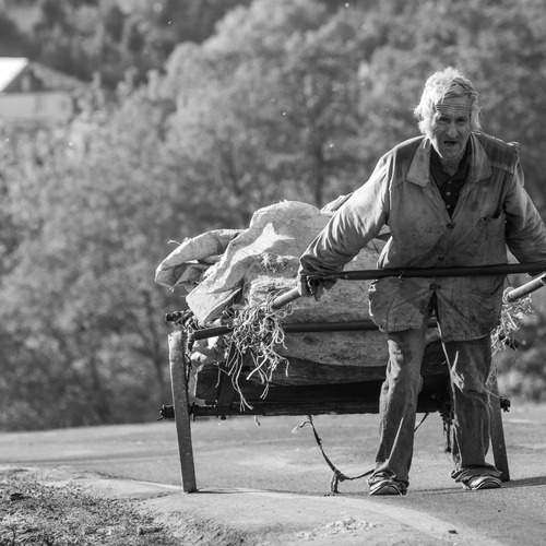 Фотография #13449045