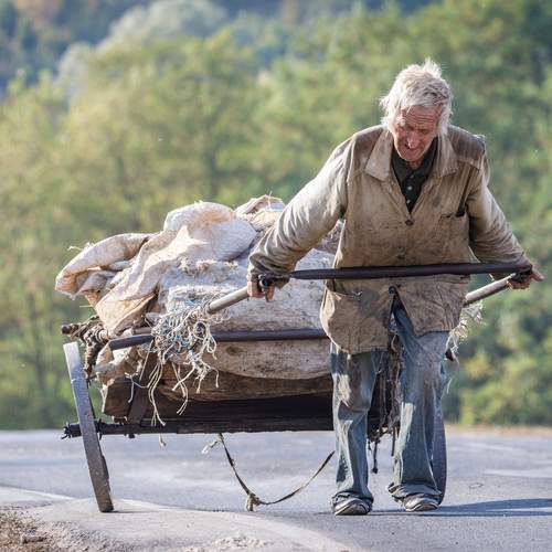 Фотография #13449046