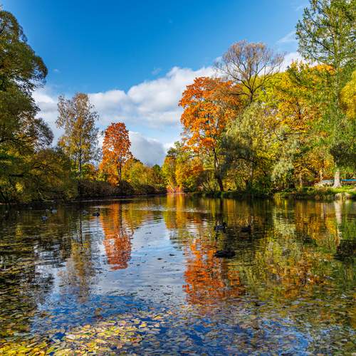 Фотография #13449140