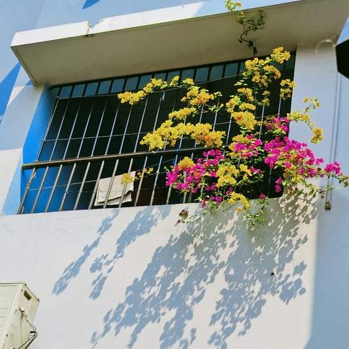 Photo #13449834