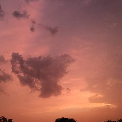 Photo #13449863