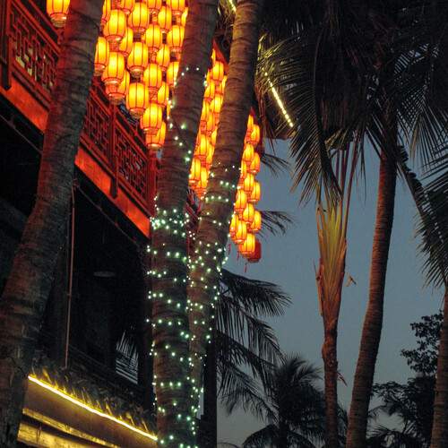 Photo #13449883