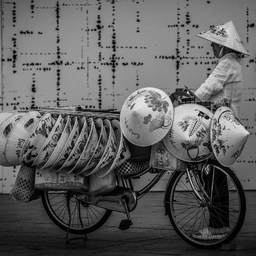 Patterns of Survival