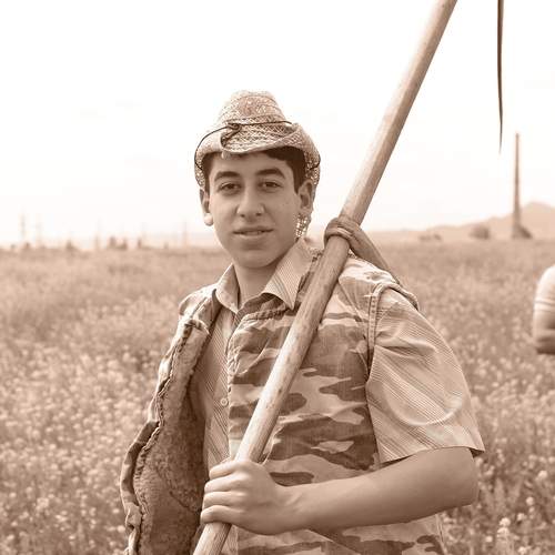 Photo #13449985