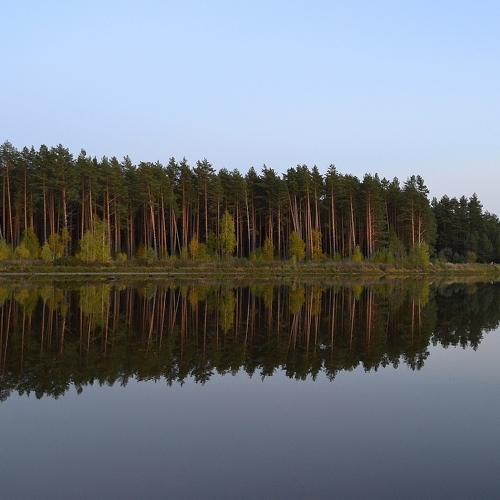 Photo #1345114