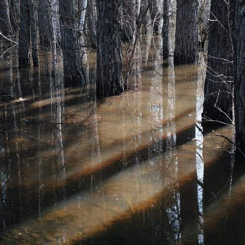 Photo #1346631