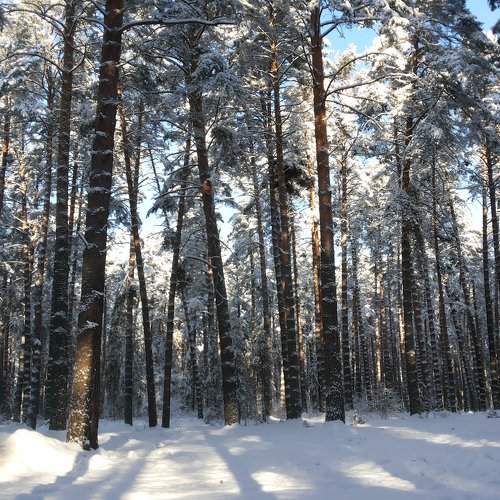 Photo #1347490