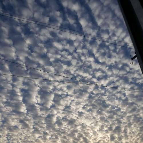 Photo #1347496