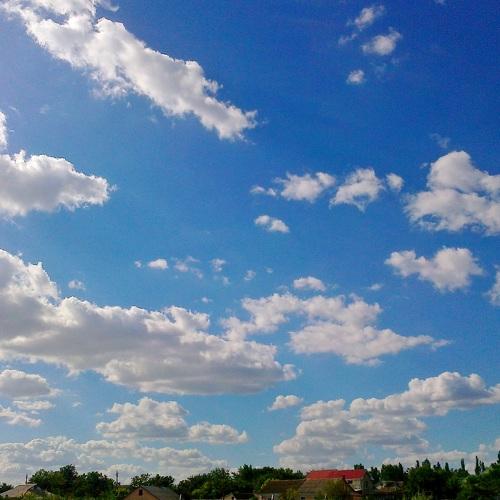 красота рядом