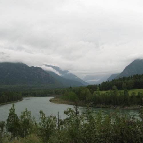 Photo #1349139