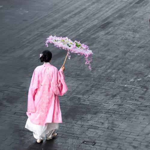A Walk in Bloom