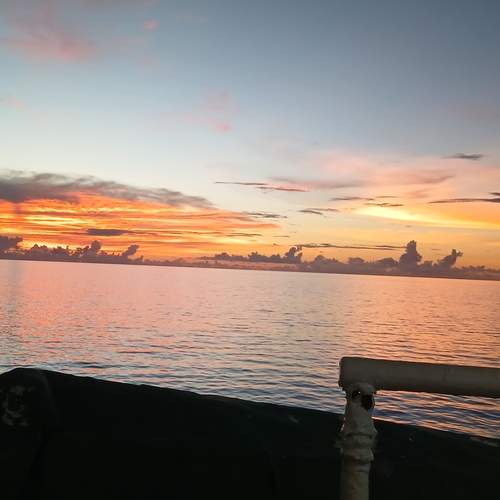 Photo #13450311