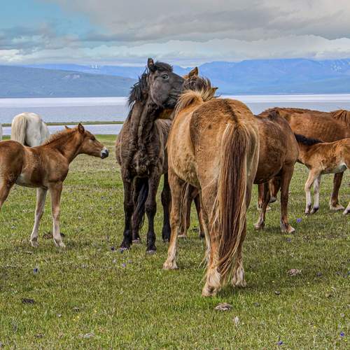 Photo #13450356