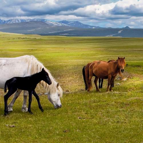 Photo #13450359