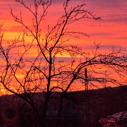 ...dawn...