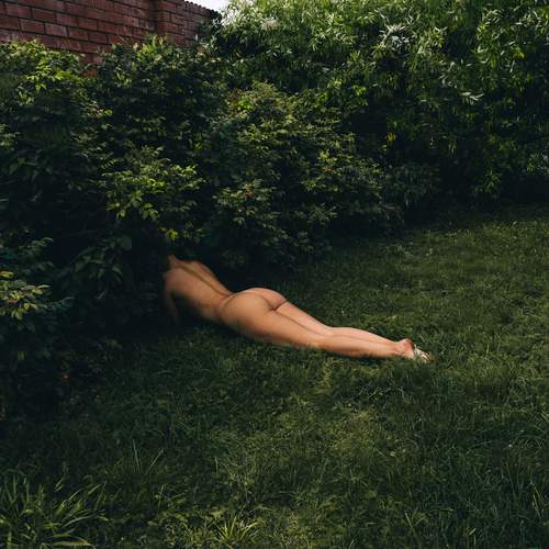 Photo #13450463