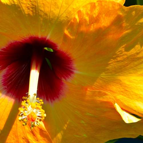 Photo #13450563