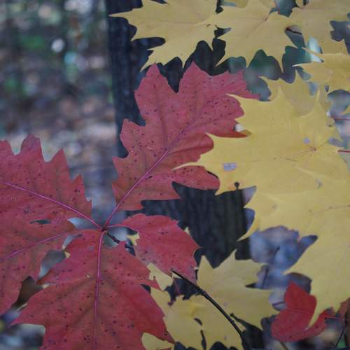 Photo #13450595
